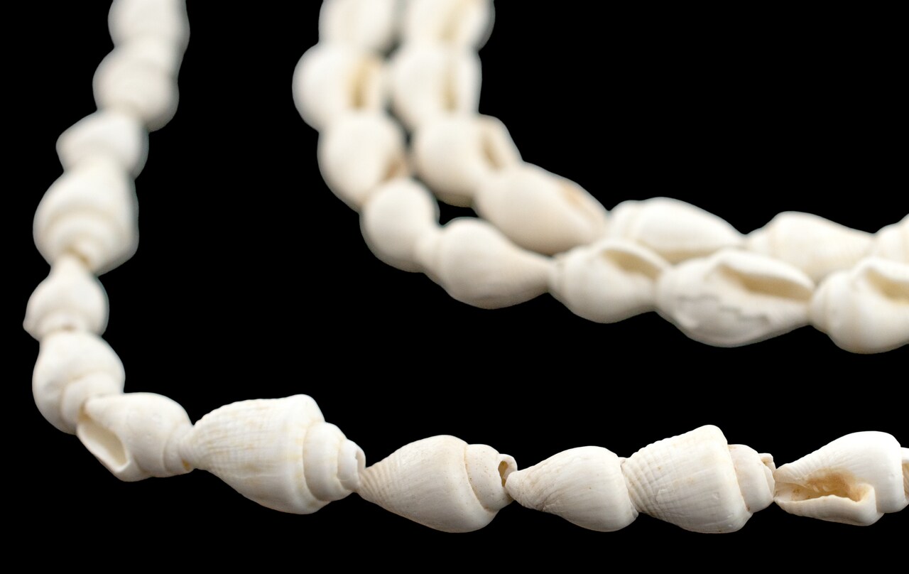 The Bead Chest White Reef Natural Shell Beads: Unique Coastal Craft Supplies for Beach-Inspired Jewelry Designs, Full Strand